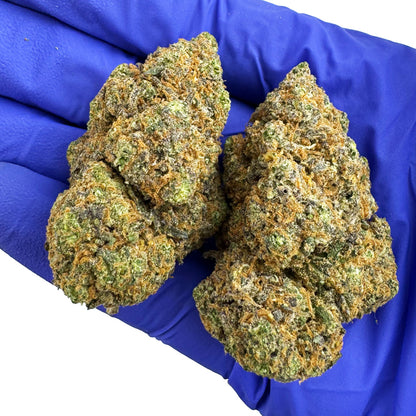 Purple Gaz CBD - Indoor