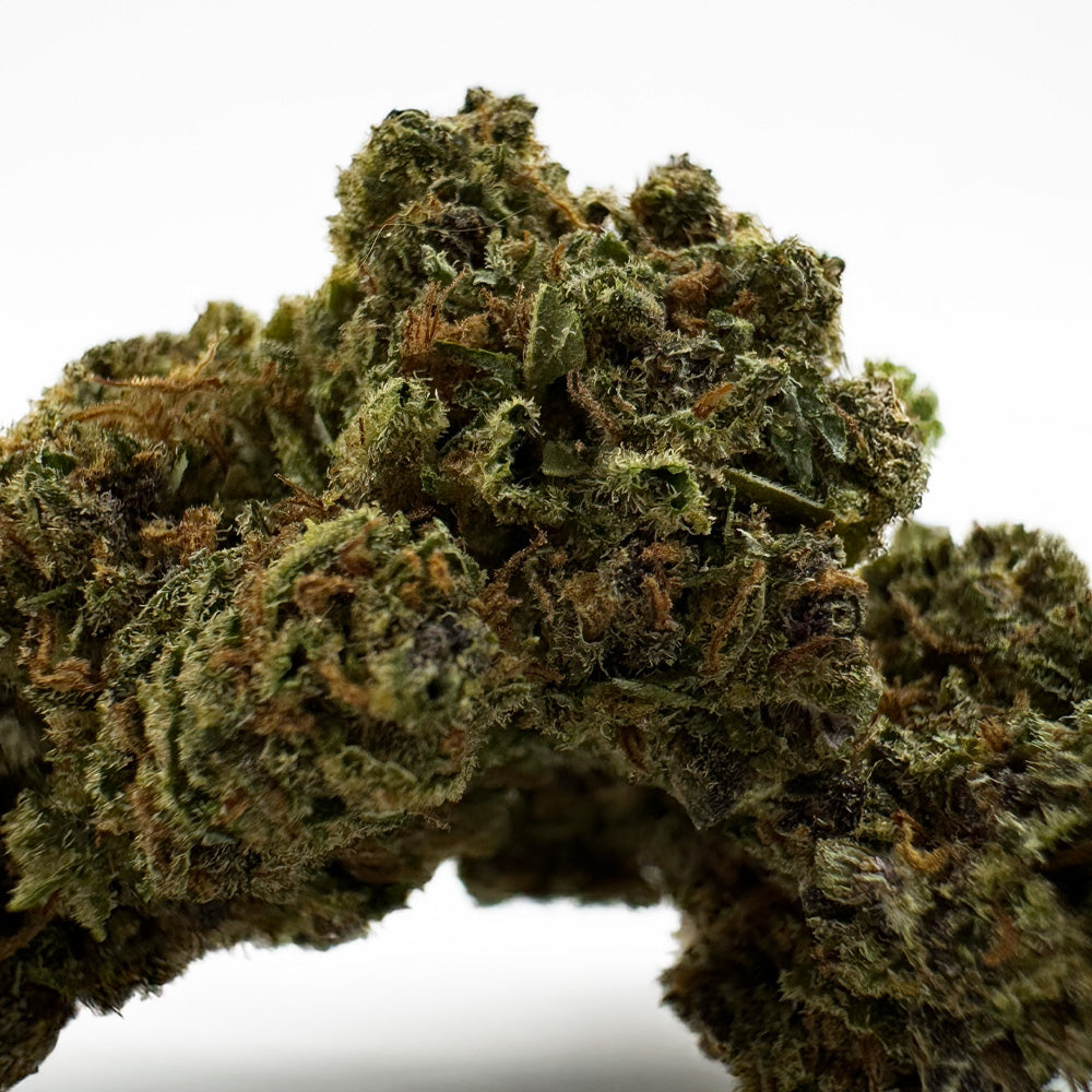 Purple Meringue - Glasshouse