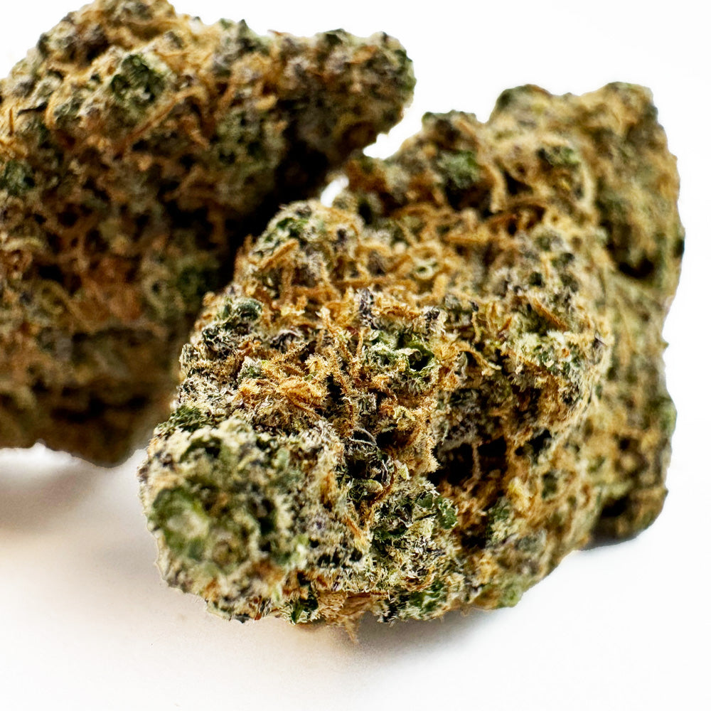 Purple Gaz CBD – uprawa w pomieszczeniu — zdjęcie 2