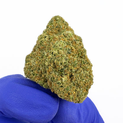 Rainbow X GP3 CBD - Indoor