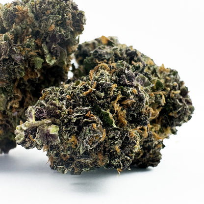 Rocket Sauce - Indoor Elite USA — photo 2