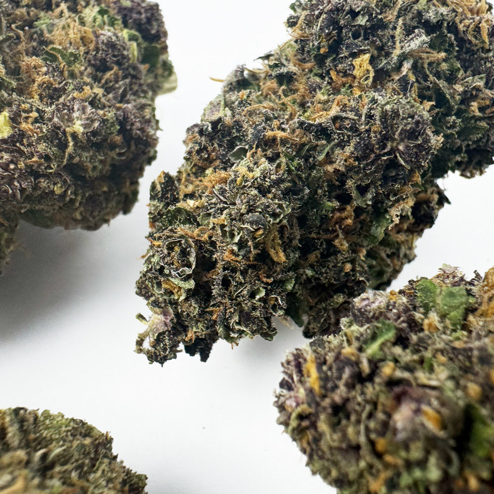 Rocket Sauce - Indoor Elite USA — photo 3