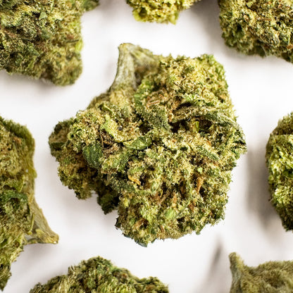 Små knoppar Royal OG – Hybrid