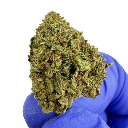 Små knoppar Royal OG – Hybrid