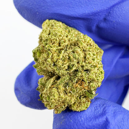 Små knoppar Royal OG – Hybrid