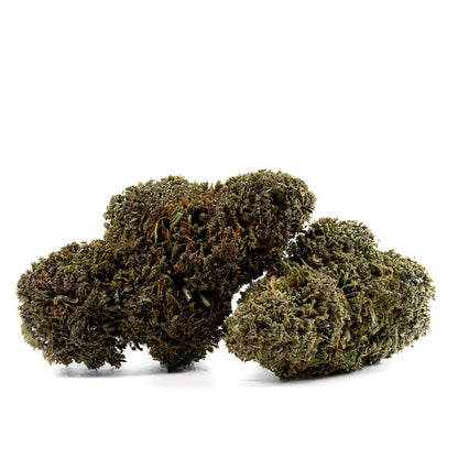 Sapphire Kush – hybryda z USA