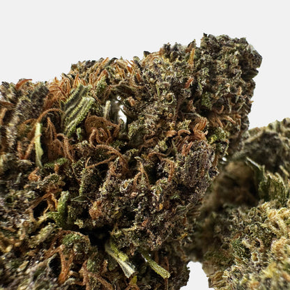 Sapphire Kush – hybryda z USA