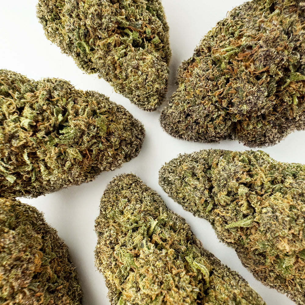 Sapphire Kush – hybryda z USA