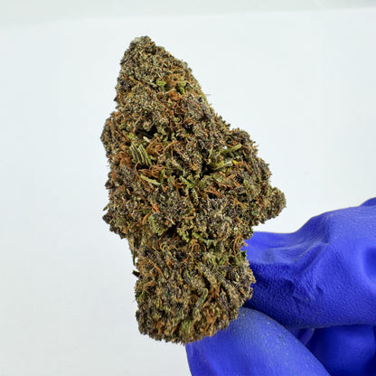 Sapphire Kush – hybryda z USA