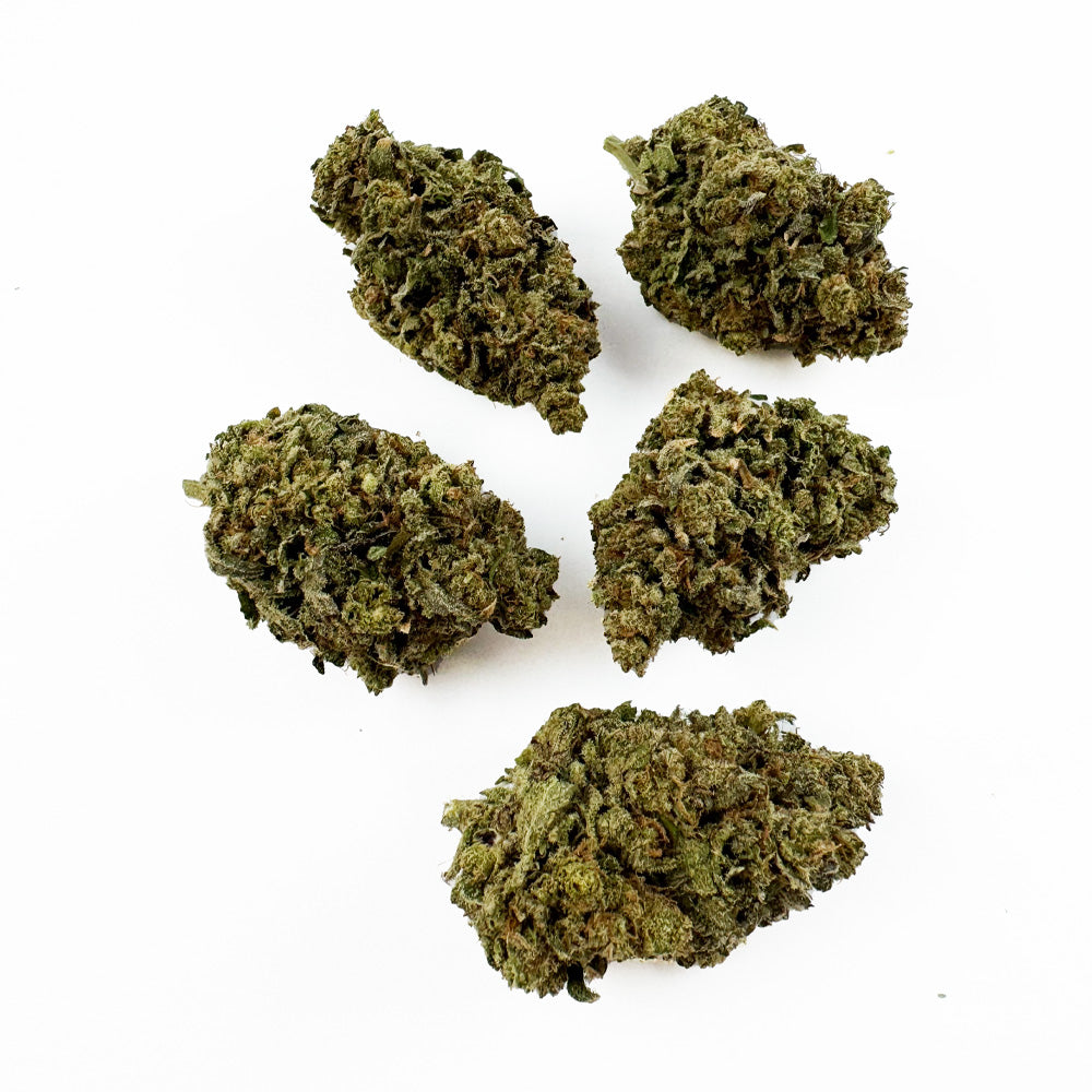Skunk Jam — CBD květiny, makro 3