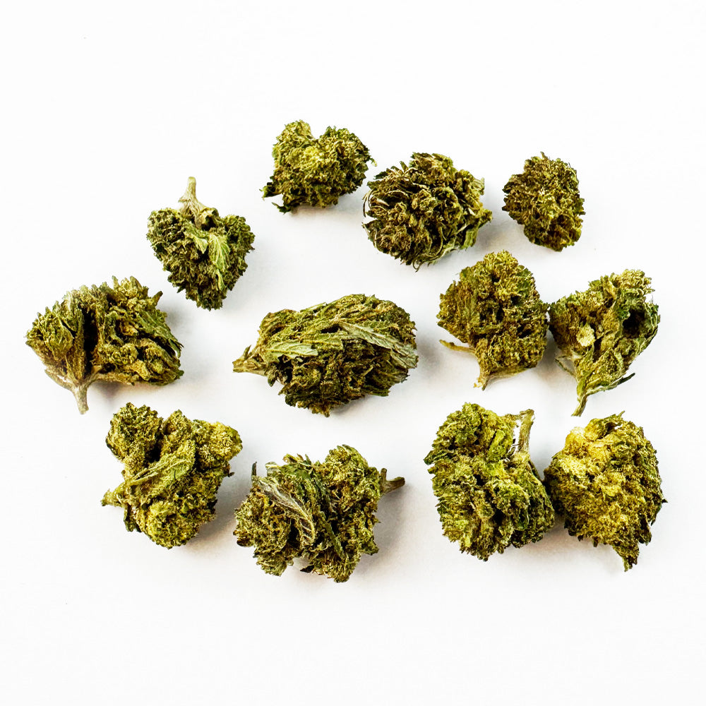 Small buds Candy Rain - Hybride — photo 1