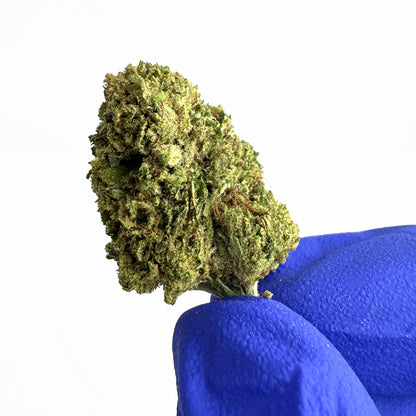 Malé palice Critical – hybrid — foto 3
