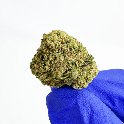 Malé palice Critical – hybrid — foto 4