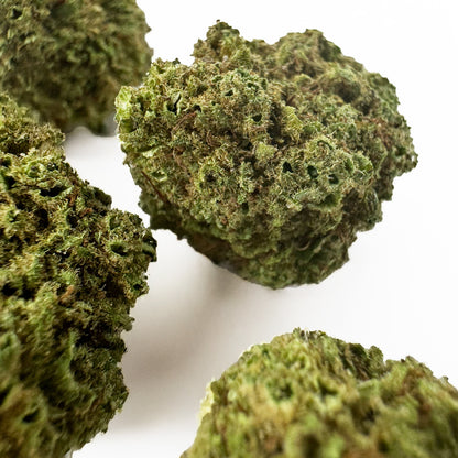 Small buds Fanta - Hybride — photo 3