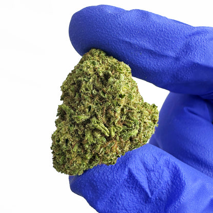Small buds Fanta - Hybride — photo 4