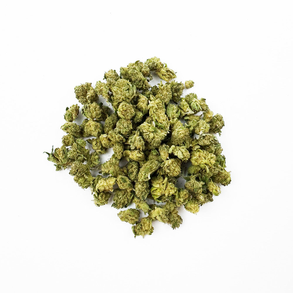 Small Buds Gushers V+ – Indoor — Foto 1