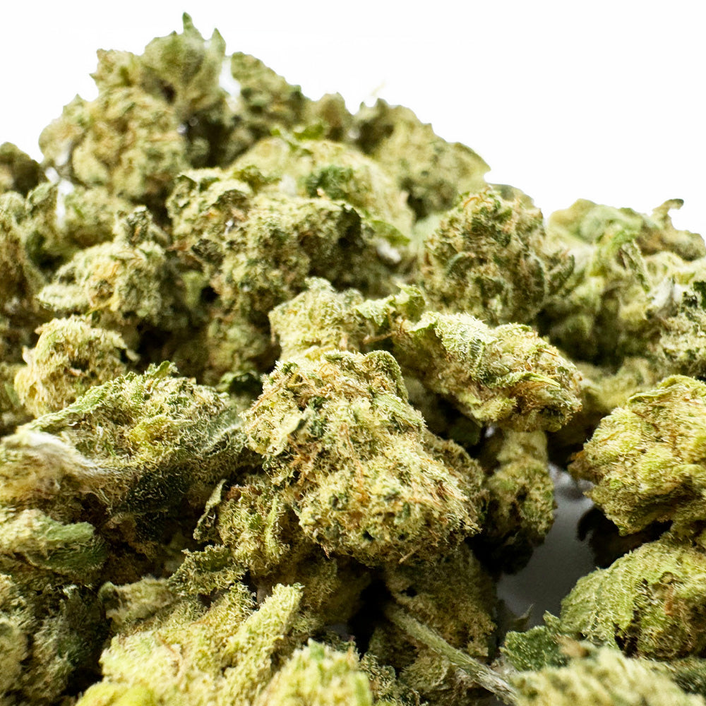 Small Buds Gushers V+ – Indoor — Foto 2