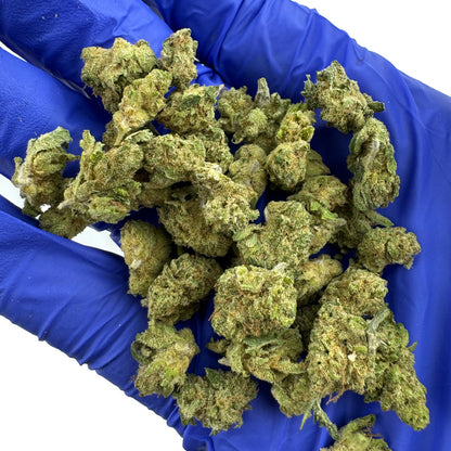 Small Buds Gushers V+ - Binnen — foto 4