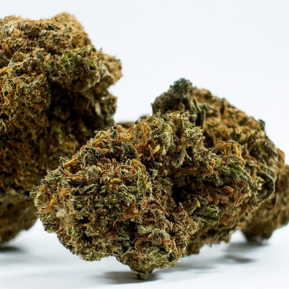 Strawberry - Glasshouse