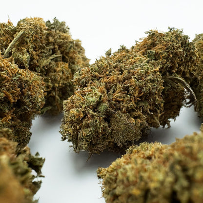 Strawberry - Glasshouse