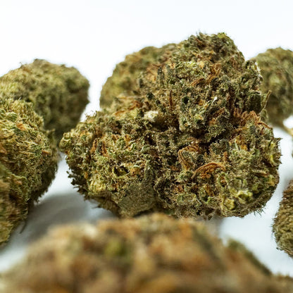 Medium buds Strawberry vues de près