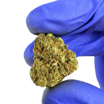 Zoom sur une tête de Strawberry medium