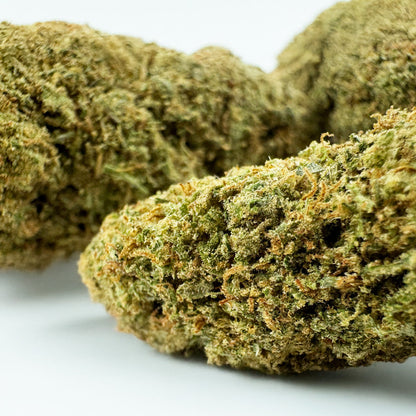 Chemdawg – Indoor USA — velkoobchod s CBD květy