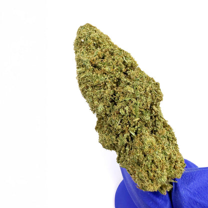 Chemdawg – Indoor USA — velkoobchod s CBD květy