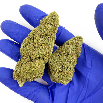Chemdawg – Indoor USA — velkoobchod s CBD květy