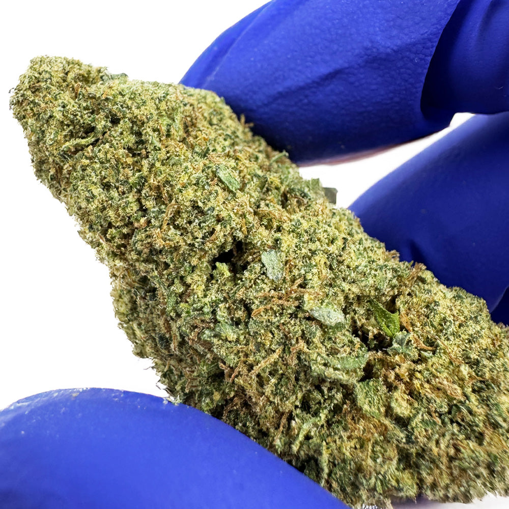 Chemdawg – Indoor USA — velkoobchod s CBD květy