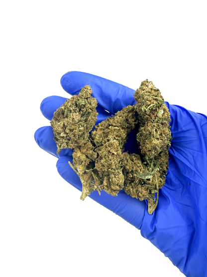 Super Skunk – Greenhouse — zdjęcie 4