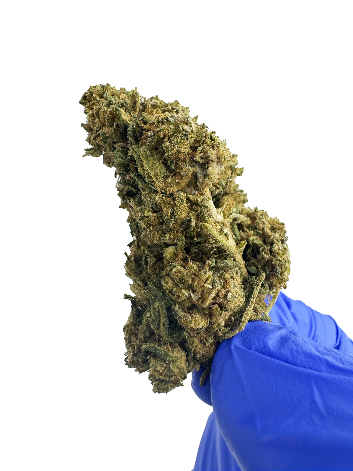 Super Skunk – Greenhouse — zdjęcie 5