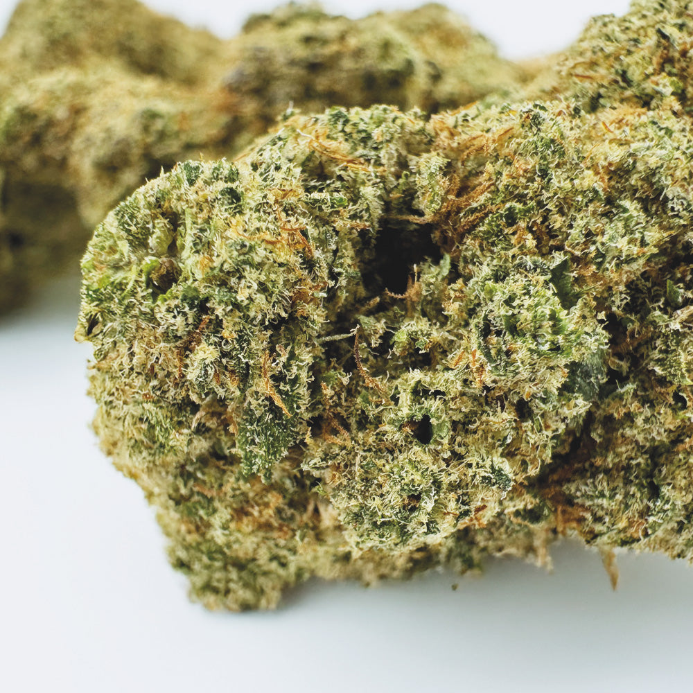 Watermelon CBD - Cali Hydroponics