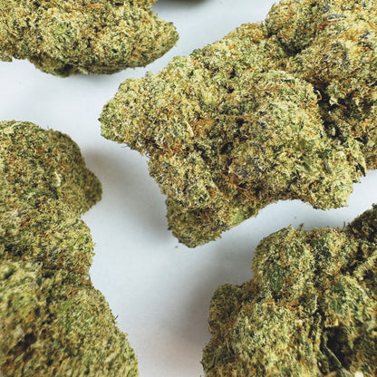 Watermelon CBD - Cali Hydroponics