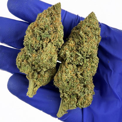 Wedding Cake HQxCT CBD - Interior