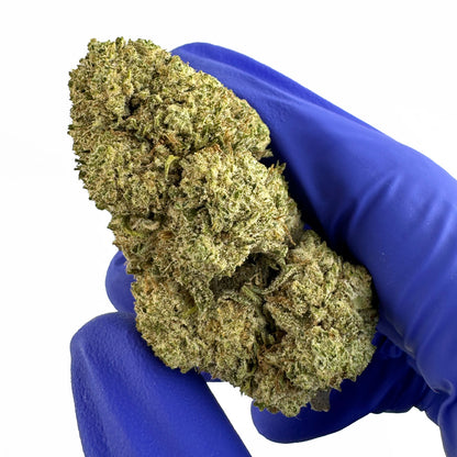 White CBG – hybrid