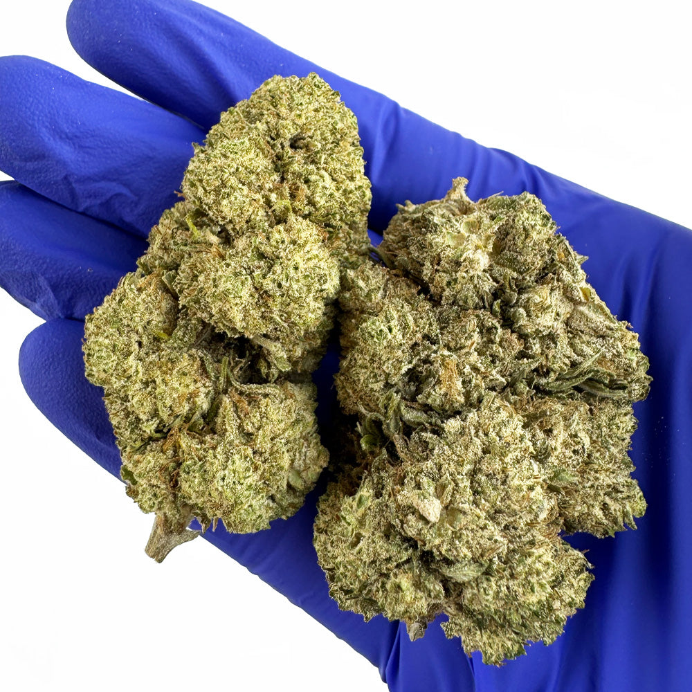 White CBG – hybrid