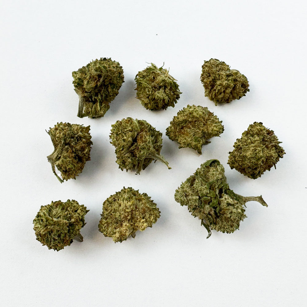 Small Buds White CBG - Híbrido