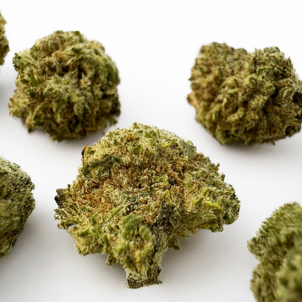 Small Buds White CBG - Híbrido