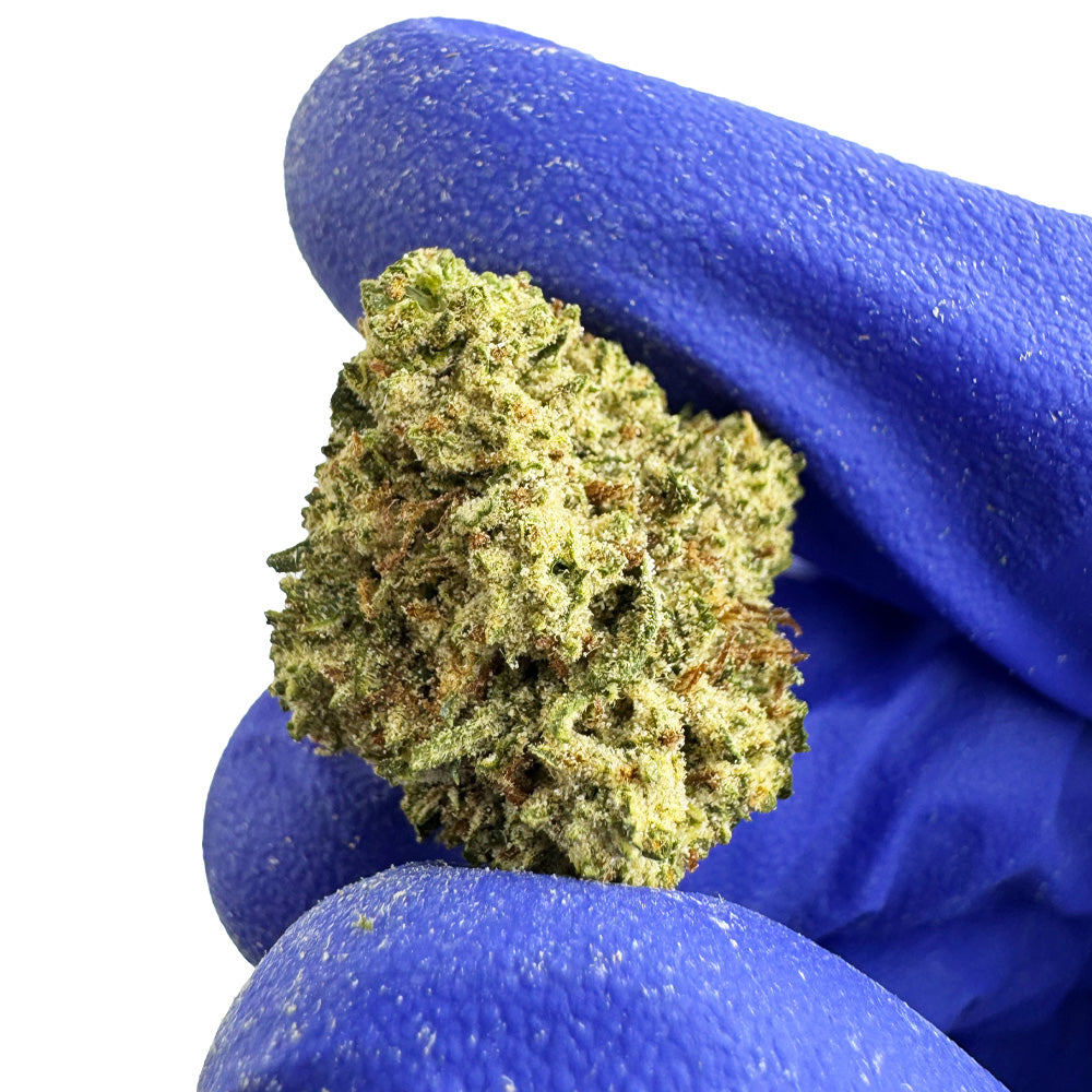 Small Buds White CBG - Híbrido