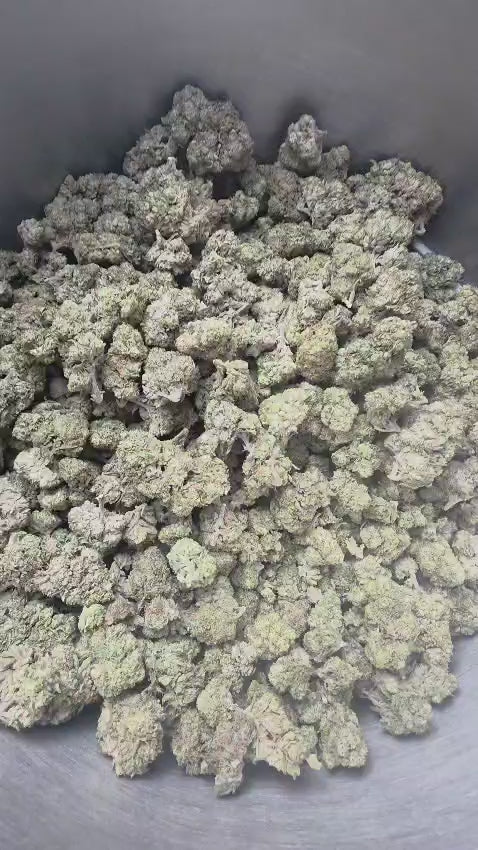 Načíst video: Prezentační video odrůdy White CBG CBD Indoor