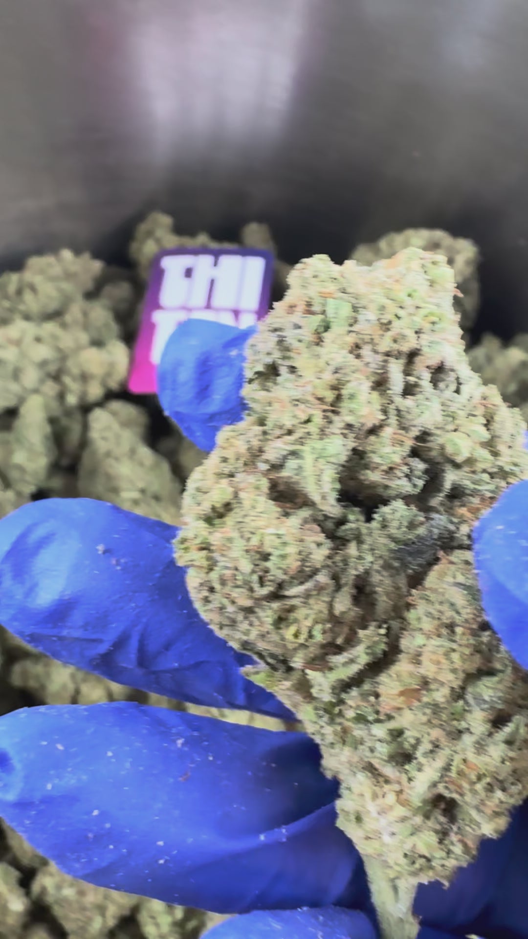 Load video: Malabar X Zoap CBD - Indoor — promotional video