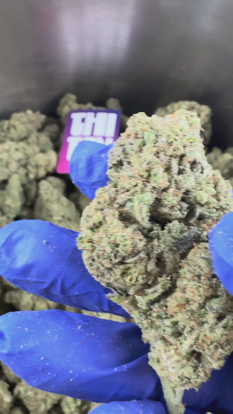 Malabar X Zoap CBD - Indoor — promotional video