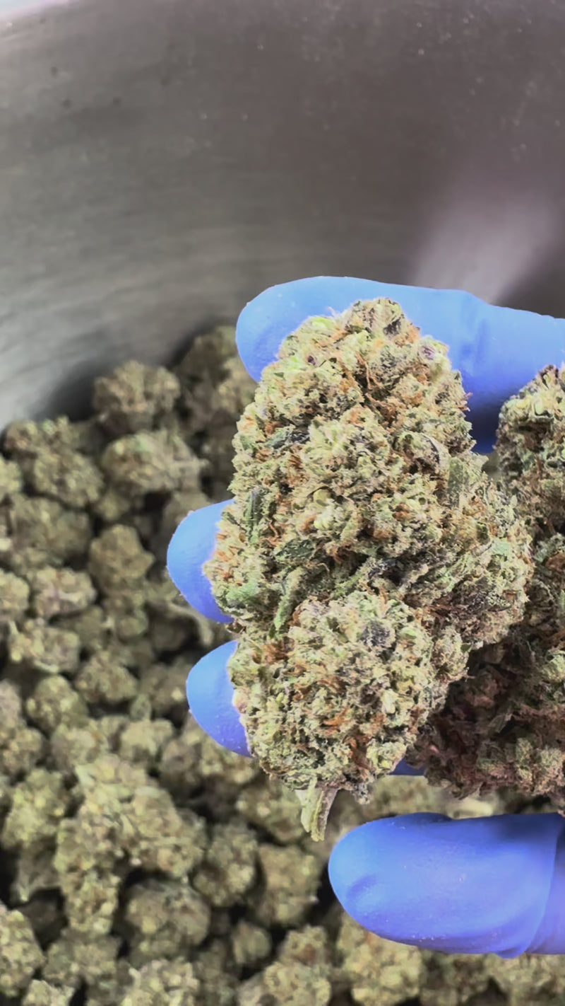 Dr. Grinspoon – Indoor Elite USA — prezentační video