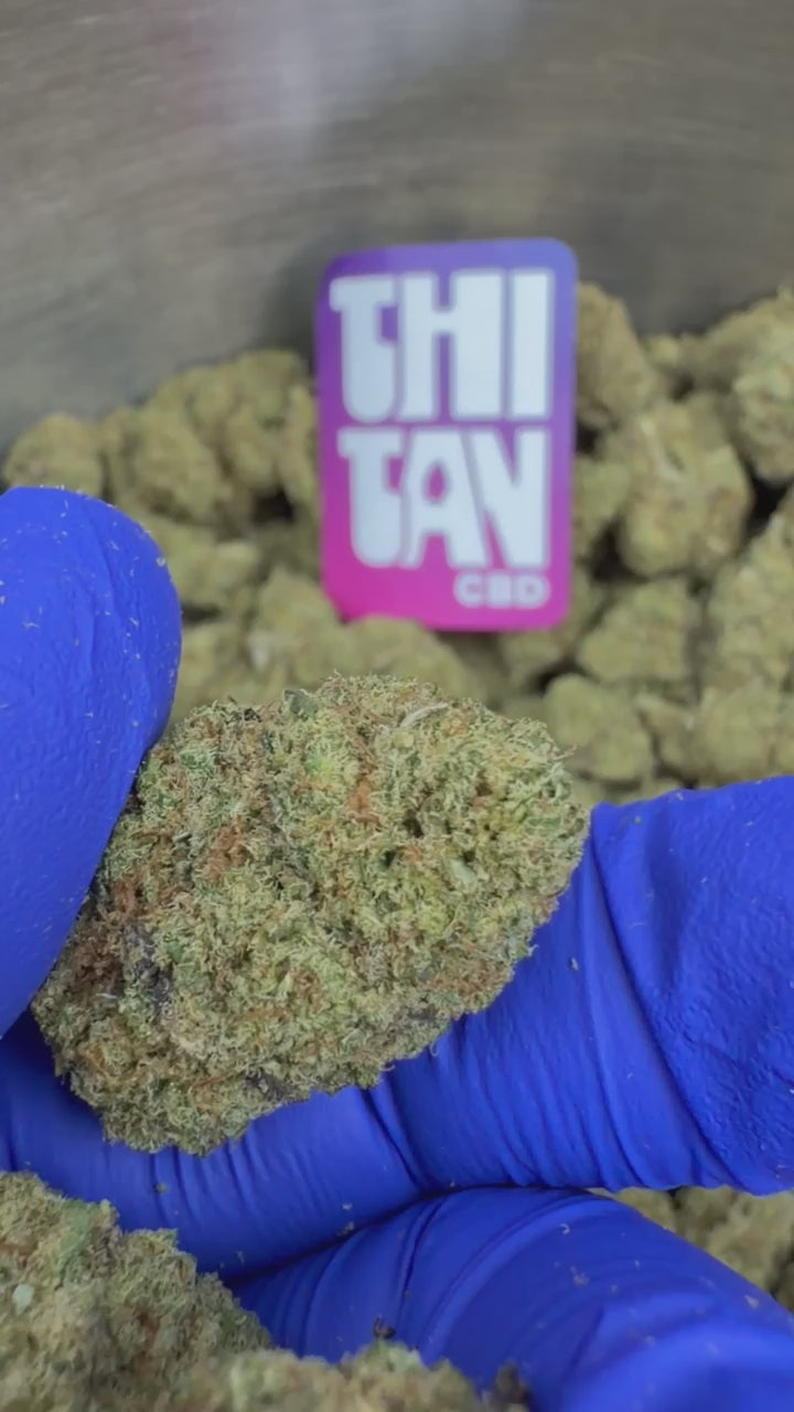 Fruity Pebbles - Indoor Elite USA — vidéo de présentation