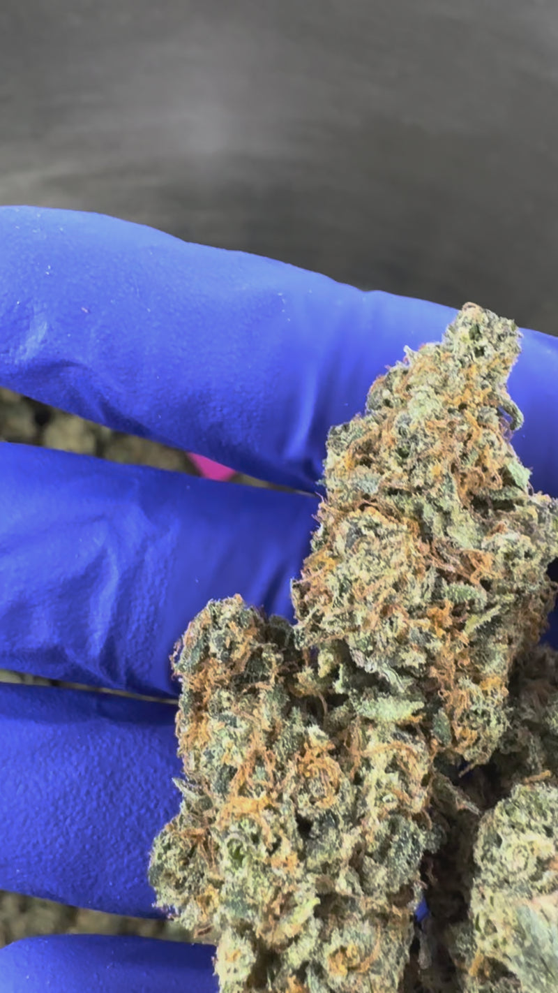 Apple Pie - Indoor — vidéo de présentation