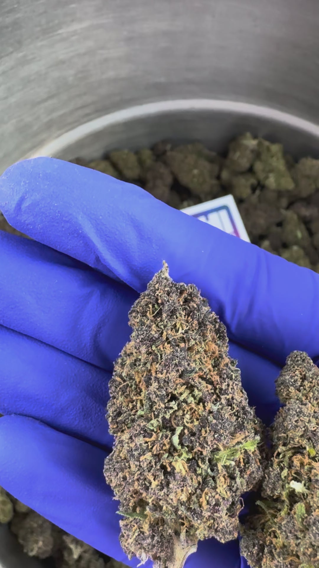 Load video: Video presentation of the Ice-O-Lator 40% CBD