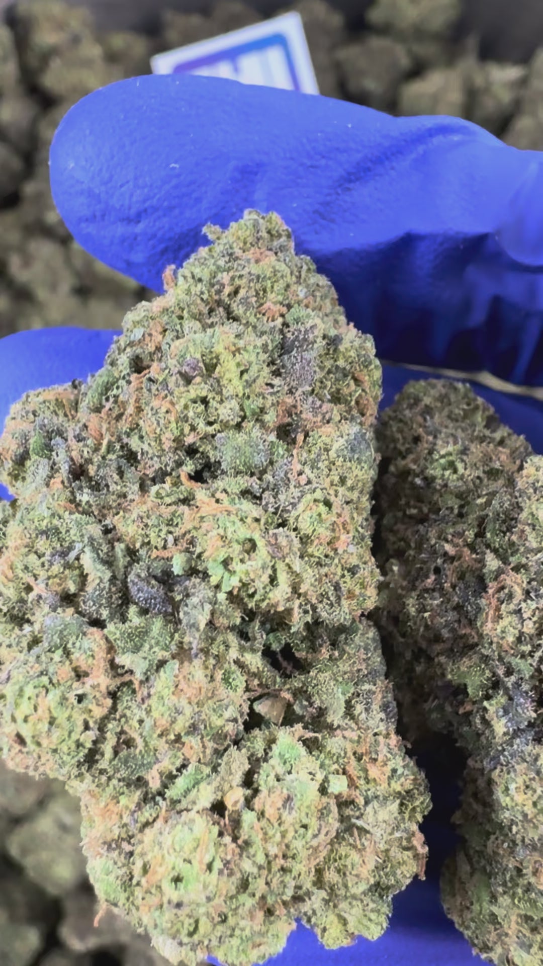 Charger la vidéo: Vidéo de présentation du Ice-O-Lator 40% CBD