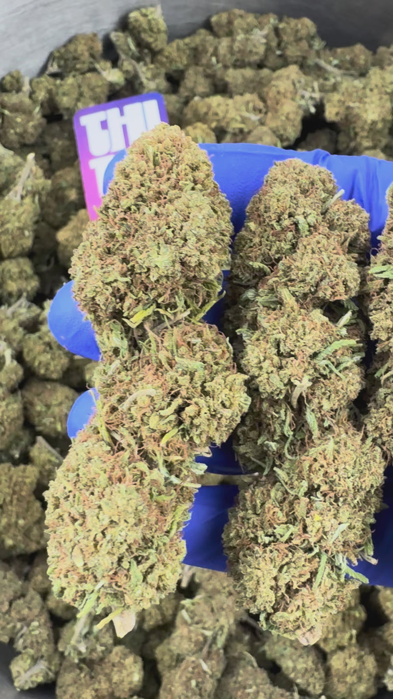 Strawberry – Glasshouse — prezentační video