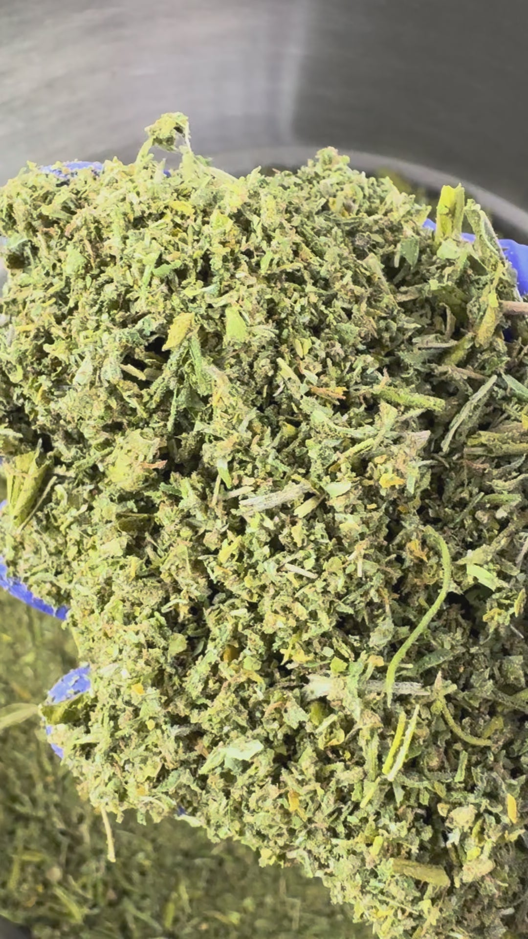 Charger la vidéo: Vidéo de présentation de la Trim B Hybride USA